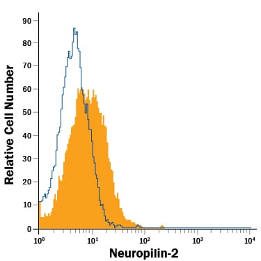 Detection of Neuropilin-2 antibody in C6 Rat Cell Line antibody by Flow Cytometry.