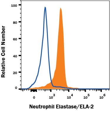 Detection of Neutrophil Elastase/ELA2 antibody in THP-1 Human Cell Line antibody by Flow Cytometry.