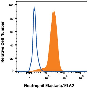 Detection of Neutrophil Elastase/ELA2 antibody in THP-1 Human Cell Line antibody by Flow Cytometry.