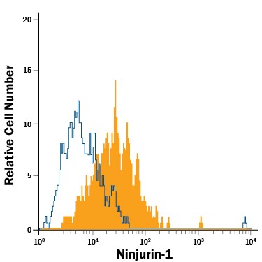 Detection of Ninjurin‑1 antibody in HepG2 Human Cell Line antibody by Flow Cytometry.