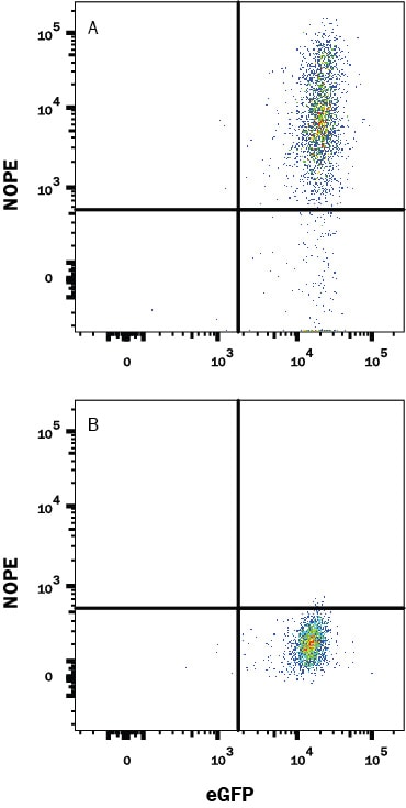 Detection of Nope/IGDCC4 antibody in HEK293 Human Cell Line Transfected with Human NOPE and eGFP antibody by Flow Cytometry