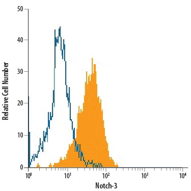 Detection of Notch‑3 antibody in BG01V Human Stem Cells antibody by Flow Cytometry.