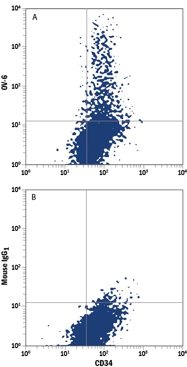 Detection of OV‑6 antibody in Huh‑7 Human Cell Line antibody by Flow Cytometry.