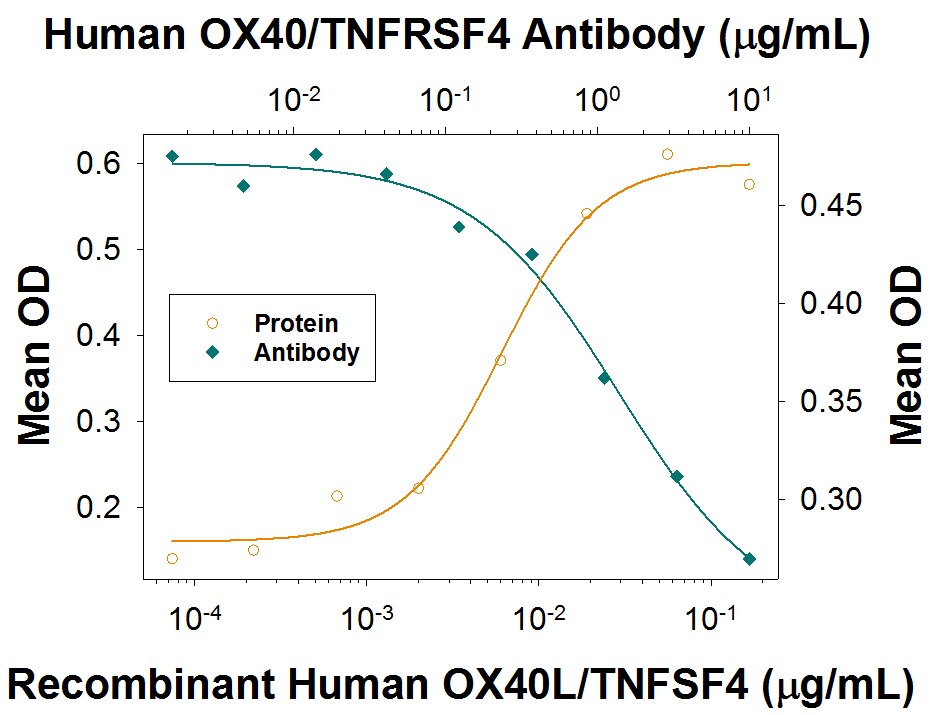 CXCL8/Il-8 Secretion Induced by OX40L/TNFSF4 and Neutralization by Human OX40/TNFRSF4 Antibody.