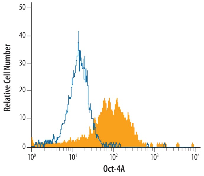 Detection of Oct-4A antibody in BG01V Human Stem Cells antibody by Flow Cytometry.