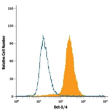 Detection of Oct‑3/4 antibody in BG01V Human Cells antibody by Flow Cytometry.