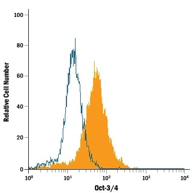 Detection of Oct-3/4 antibody in BG01V Human Cells antibody by Flow Cytometry.