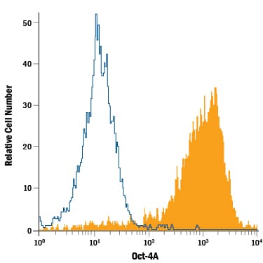 Detection of Oct‑4A antibody in BG01V Human Cells antibody by Flow Cytometry.