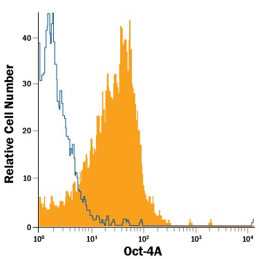 Detection of Oct-4A antibody in BG01V Human Cells antibody by Flow Cytometry.
