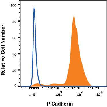 Detection of P-Cadherin antibody in A431 Human Cell Line antibody by Flow Cytometry.