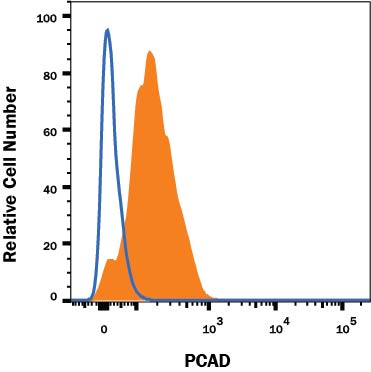 Detection of P-Cadherin antibody in A431 Human Cell Line antibody by Flow Cytometry.
