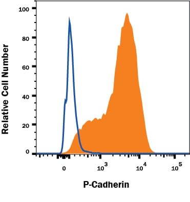 Detection of P-Cadherin antibody in A431 Human Cell Line antibody by Flow Cytometry.