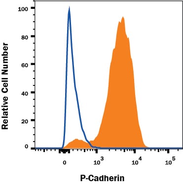 Detection of P-Cadherin antibody in A431 Human Cell Line antibody by Flow Cytometry.