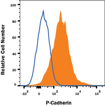Detection of P-Cadherin antibody in A431 Human Cell Line antibody by Flow Cytometry.