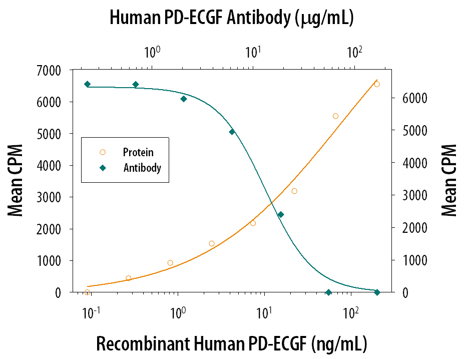 Cell Proliferation Induced by PD‑ECGF/Thymidine Phosphorylase and Neutralization by Human PD‑ECGF/Thymidine Phosphorylase Antibody.