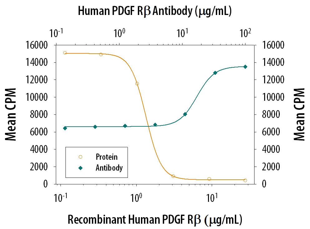 PDGF R beta  Inhibition of PDGF-BB-dependent Cell Proliferation and Neutralization by Human PDGF R beta  Antibody.