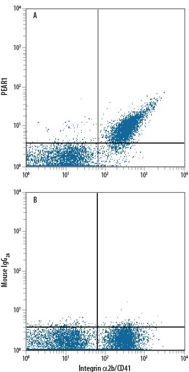 Detection of PEAR1 antibody in Human Blood Platelets antibody by Flow Cytometry.
