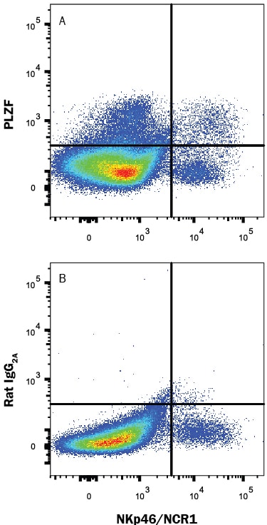 Detection of PLZF antibody in Mouse Splenocytes antibody by Flow Cytometry.