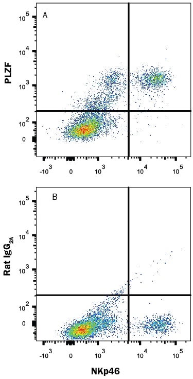 Detection of PLZF antibody in Mouse Splenocytes antibody by Flow Cytometry.