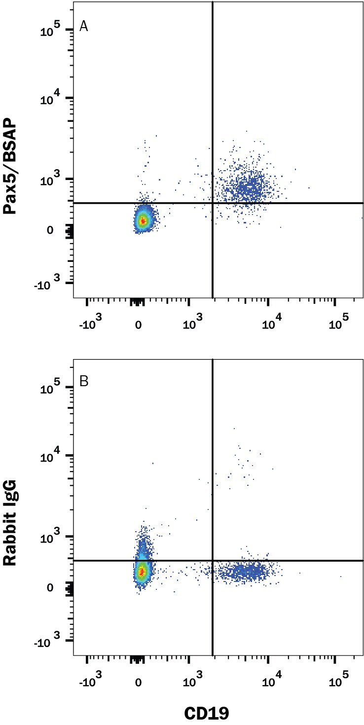 Detection of Pax5/BSAP antibody in Human PBMCs antibody by Flow Cytometry.