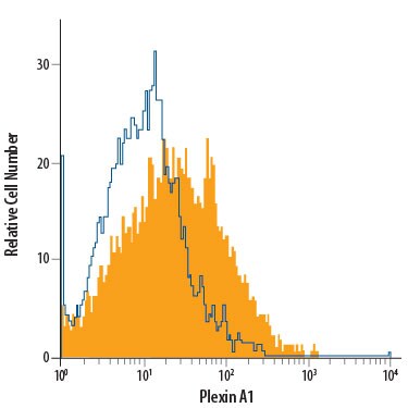 Detection of Plexin A1 antibody in bEnd.3 Mouse Cell Line antibody by Flow Cytometry.