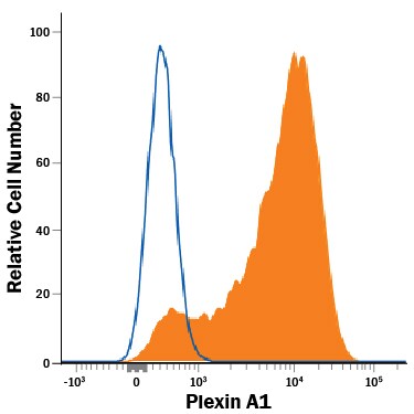 Detection of Plexin A1 antibody in K562 Human Cell Line antibody by Flow Cytometry.
