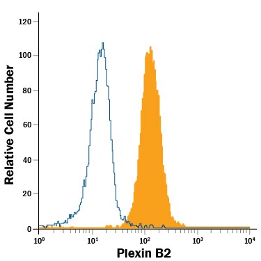 Detection of Plexin B2 antibody in D3 Mouse Cell Line antibody by Flow Cytometry.