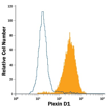 Detection of Plexin D1 antibody in K562 Human Cell Line antibody by Flow Cytometry.