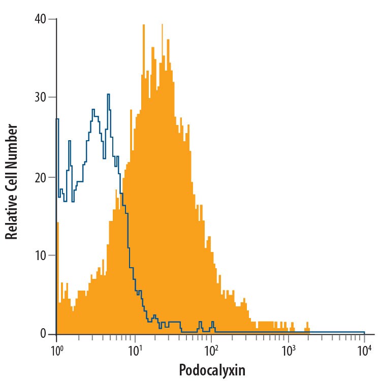 Detection of Podocalyxin antibody in D3 Mouse Cell Line antibody by Flow Cytometry.