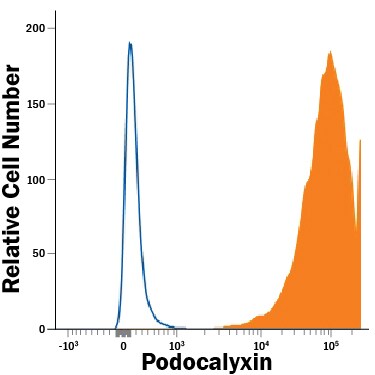 Detection of Podocalyxin antibody in BG01V Human Embryonic Stem Cells antibody by Flow Cytometry.