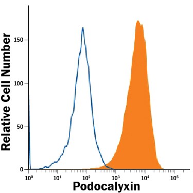 Detection of Podocalyxin antibody in BG01V Human Embryonic Stem Cells antibody by Flow Cytometry.