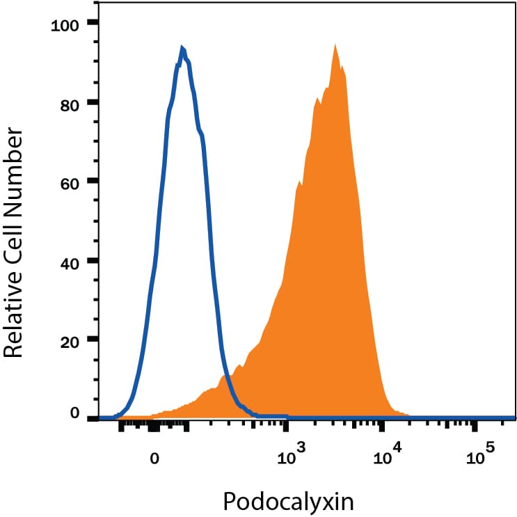 Detection of Podocalyxin antibody in BG01V Human Embryonic Stem Cells antibody by Flow Cytometry.