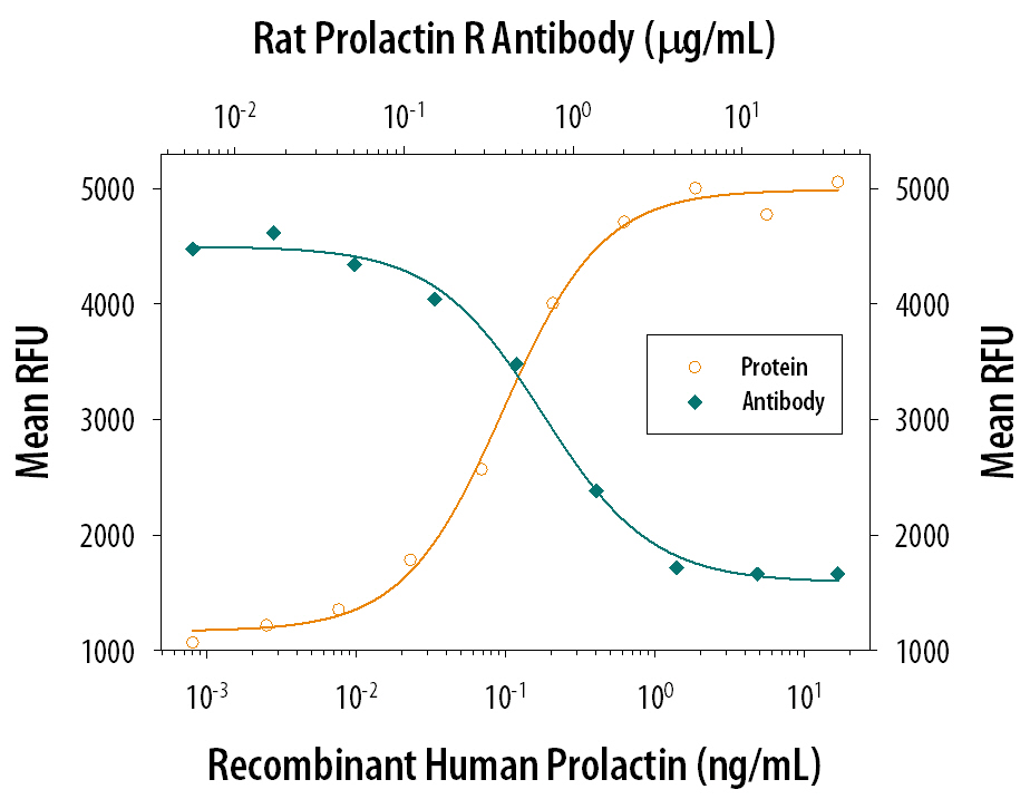 Cell Proliferation Induced by Prolactin and Neutralization by Rat Prolactin R Antibody.