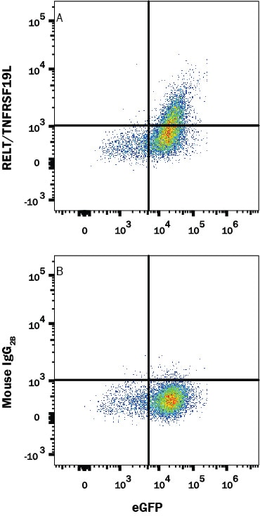 Detection of RELT/TNFRSF19L antibody in HEK293 Human cell line Transfected with Human RELT/TNFRSF19L and eGFP antibody by Flow Cytometry.