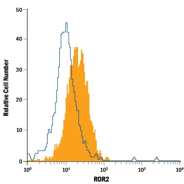 Detection of ROR2 antibody in SH‑SY5Y Human Cell Line antibody by Flow Cytometry.