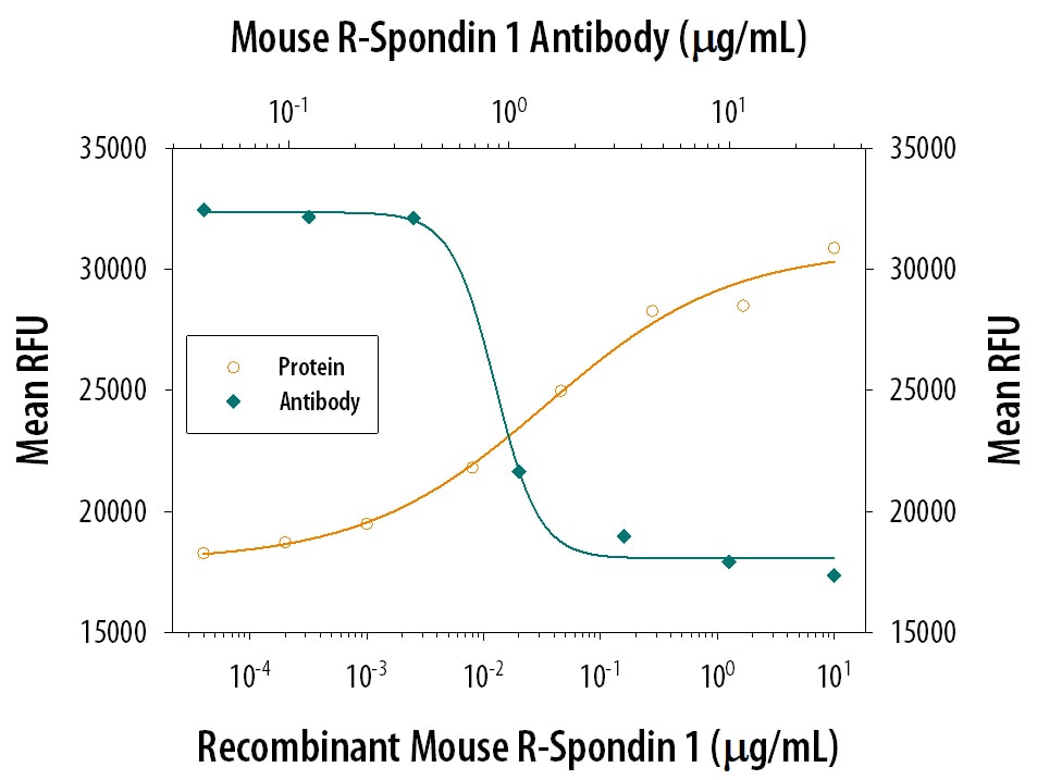 beta -Catenin Response Induced by R-Spondin 1 and Neutralization by Mouse R‑Spondin 1 Antibody.