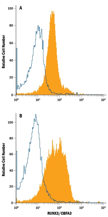 Detection of RUNX3/CBFA3 antibody in Human PBMC lymphocytes antibody by Flow Cytometry.