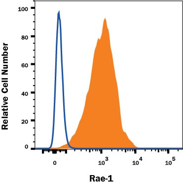 Detection of Rae‑1 antibody in RAW 264.7 Mouse Cell Line antibody by Flow Cytometry.
