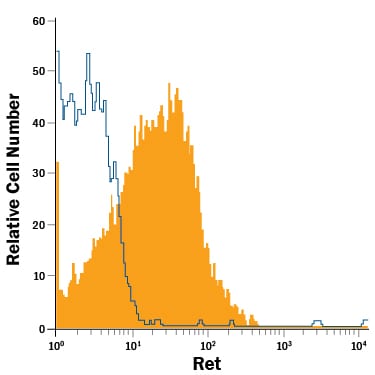Detection of Ret antibody in SH-SY5Y Human Cell Line antibody by Flow Cytometry.