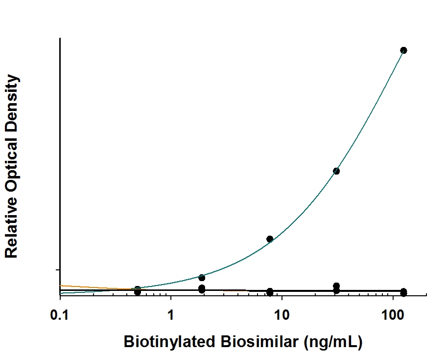 Specificity of Anti-Rituximab (Anti-Idiotype) Antibody in Antibody in ELISA Capture Assay.