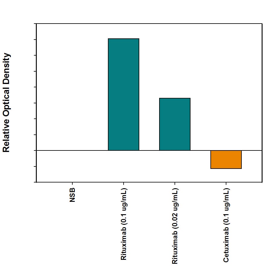 Anti-Rituximab Bridging Assay.