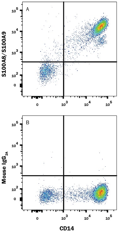 Detection of S100A8/S100A9 Heterodimer antibody in Human PBMCs antibody by Flow Cytometry.