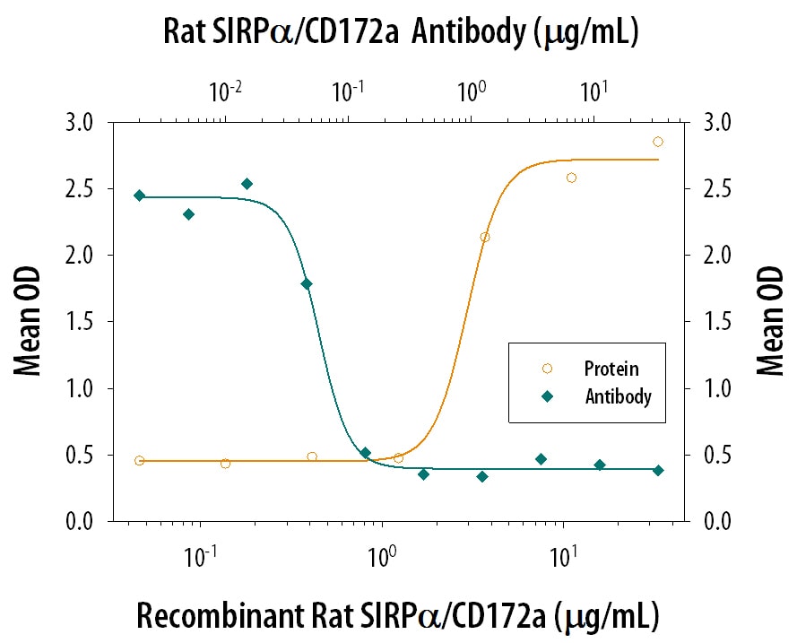 Adhesion Induced by SIRP alpha / CD172a and Neutralization by Rat SIRP alpha /CD172a Antibody.