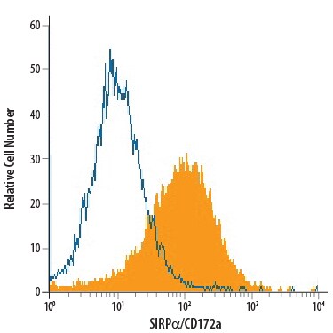 Detection of SIRPa/CD172a antibody in PC-12 Rat Cell Line antibody by Flow Cytometry.