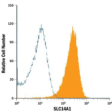 Detection of SLC14A1 antibody in Human Red Blood Cells antibody by Flow Cytometry.
