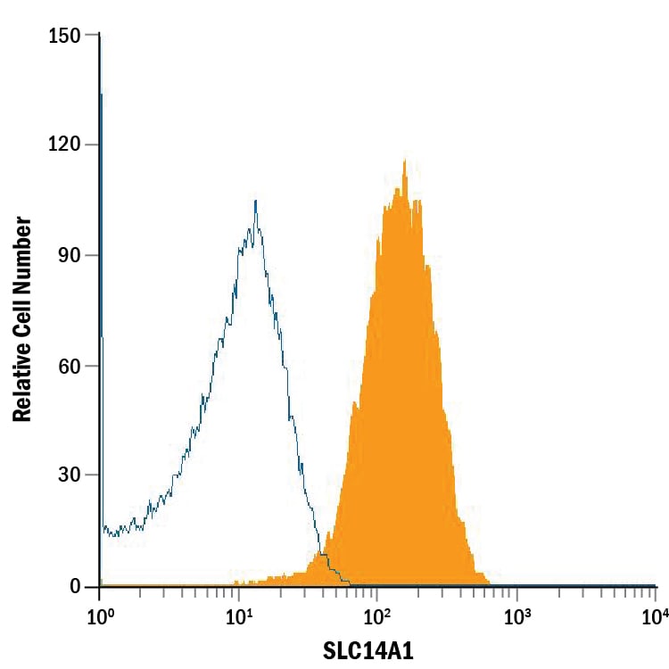 Detection of SLC14A1 antibody in Human Red Blood Cells antibody by Flow Cytometry.