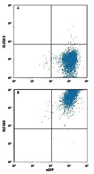 Detection of SLC5A5 antibody in HEK293 Human Cell Line Transfected with Human SLC5A5 and eGFP antibody by Flow Cytometry.