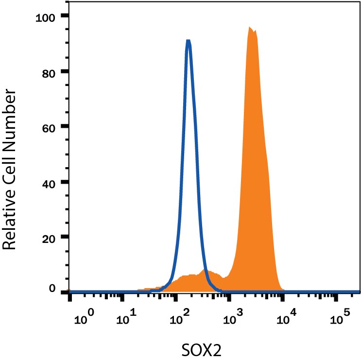 Detection of SOX2 antibody in NTera-2 Human Cell Line antibody by Flow Cytometry.