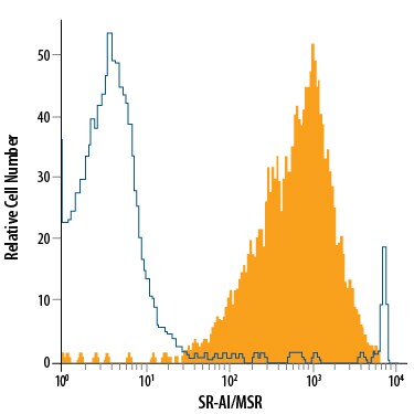 Detection of SR-AI/MSR antibody in RAW 264.7 Mouse Cell Line antibody by Flow Cytometry.