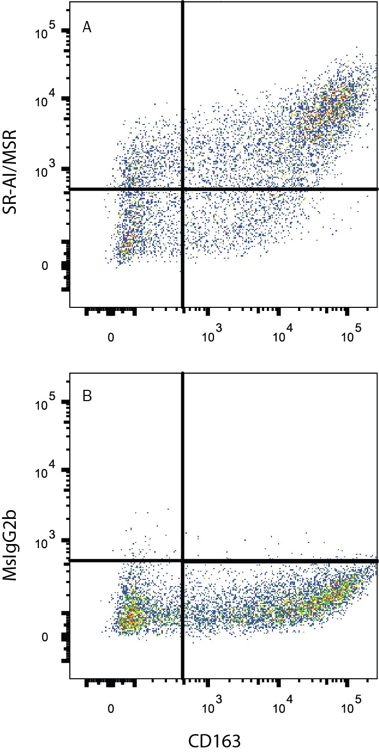 Detection of SR-AI/MSR antibody in Human M2 Macrophages antibody by Flow Cytometry.
